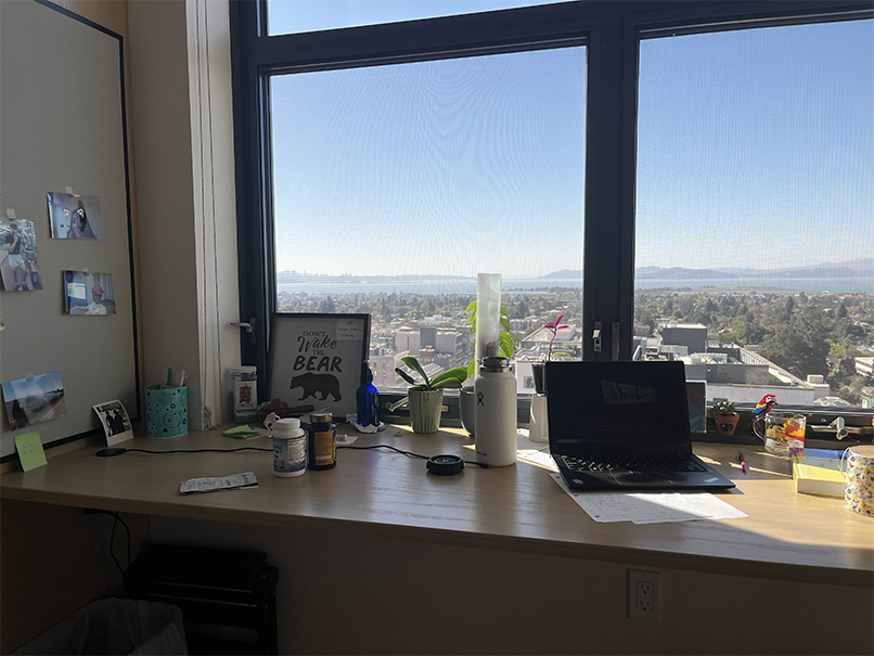 Left Desk Image with Triangulation